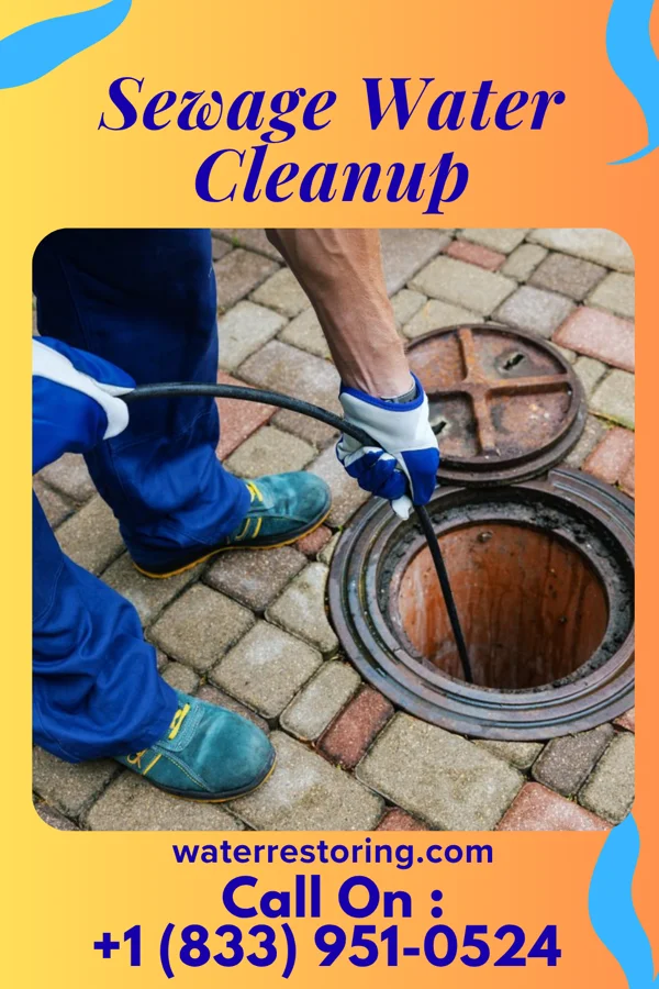 Sewage Water Cleanup in Pasadena Hills, MO